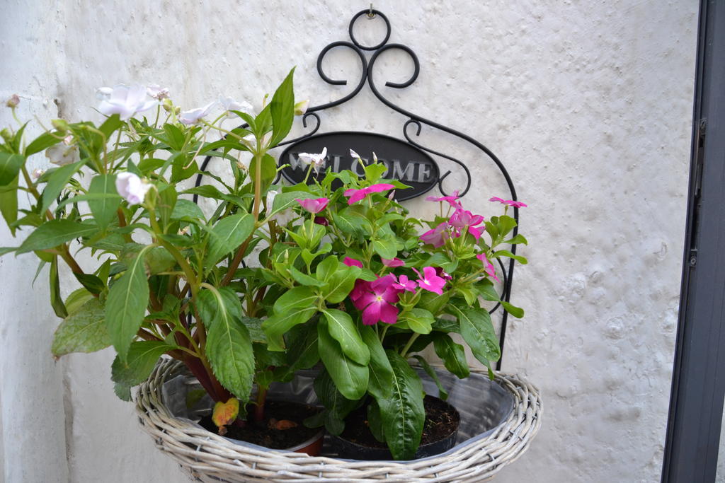 La Violetta Ostuni Apartment ห้อง รูปภาพ